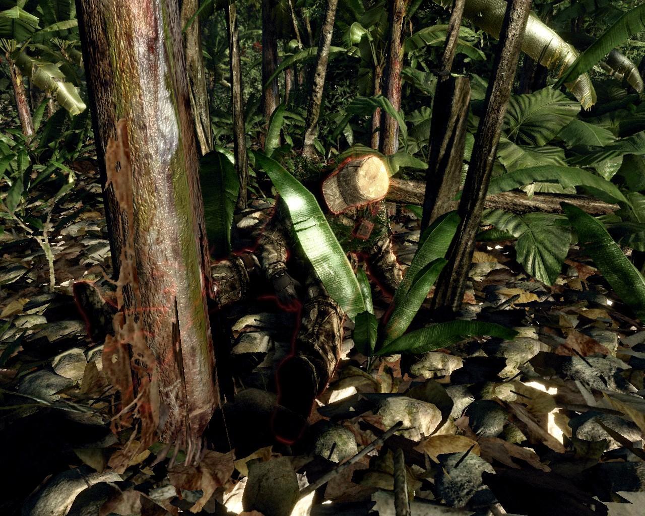 [22/04/2008] Crysis (Crytek) - Mapdownload: GDC 06-Jungle - Bilderquelle: nvnews