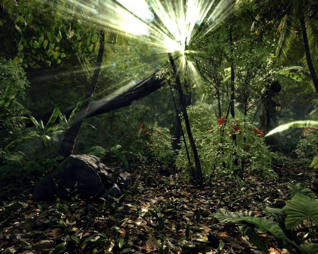 [22/04/2008] Crysis (Crytek) - Mapdownload: GDC 06-Jungle - Bilderquelle: nvnews