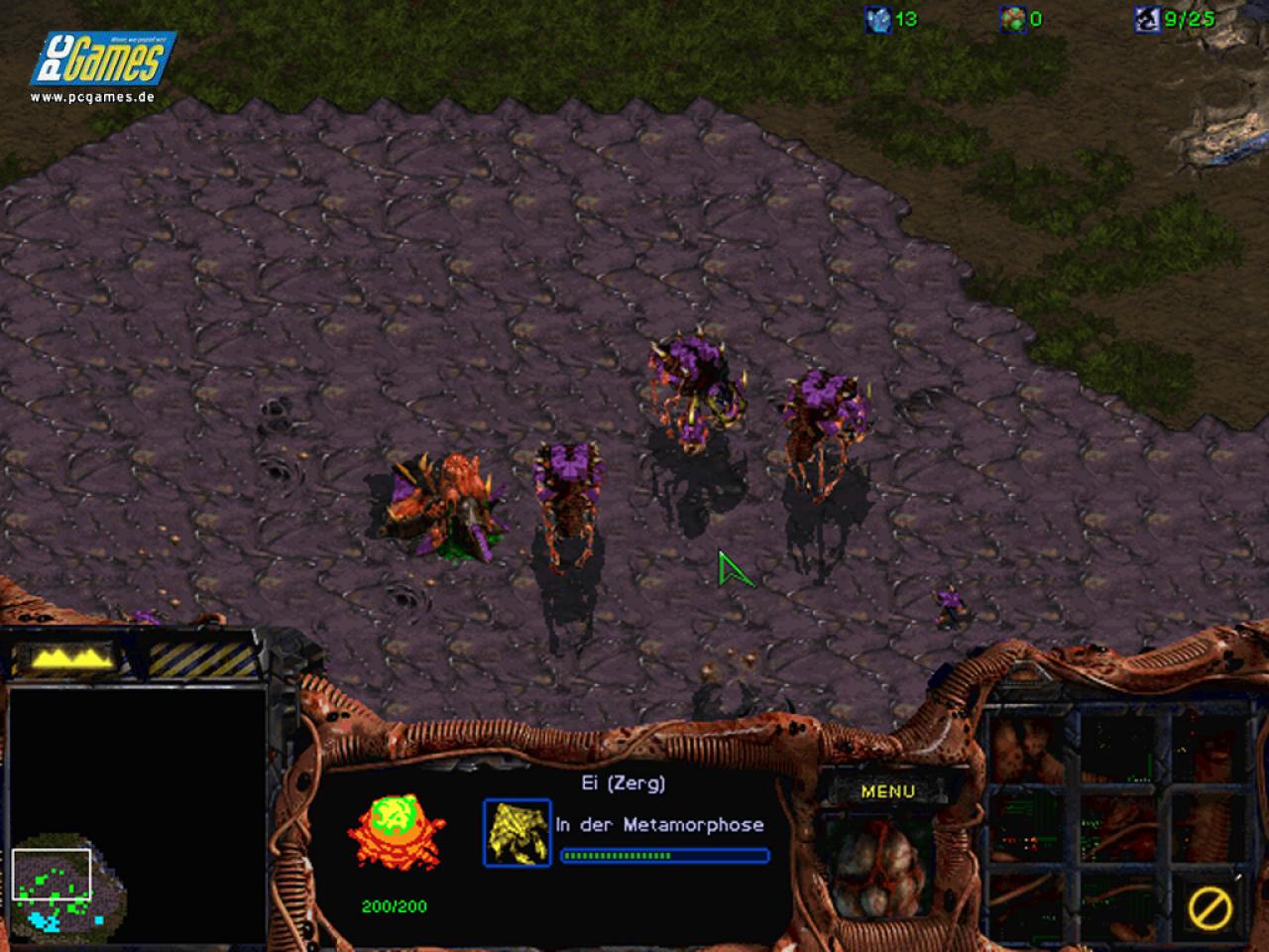 [02/04/2008] Counter Strike Source, Starcraft, Warcraft 3, Command & Conquer: Universen, in denen es an unliebsamen Gamer-Typen nie mangelt. (31)