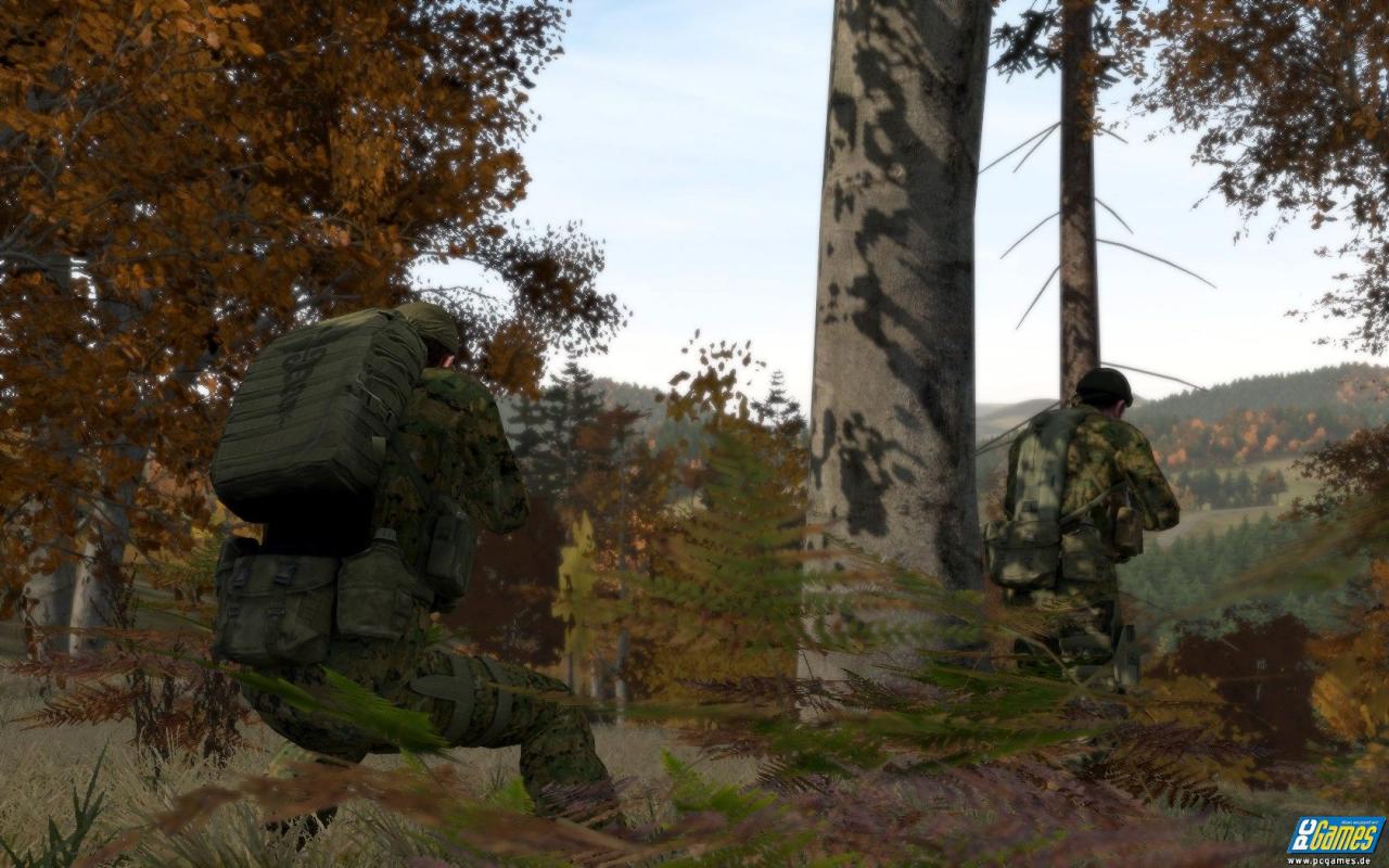 [09/07/2008] 10. ArmA 2