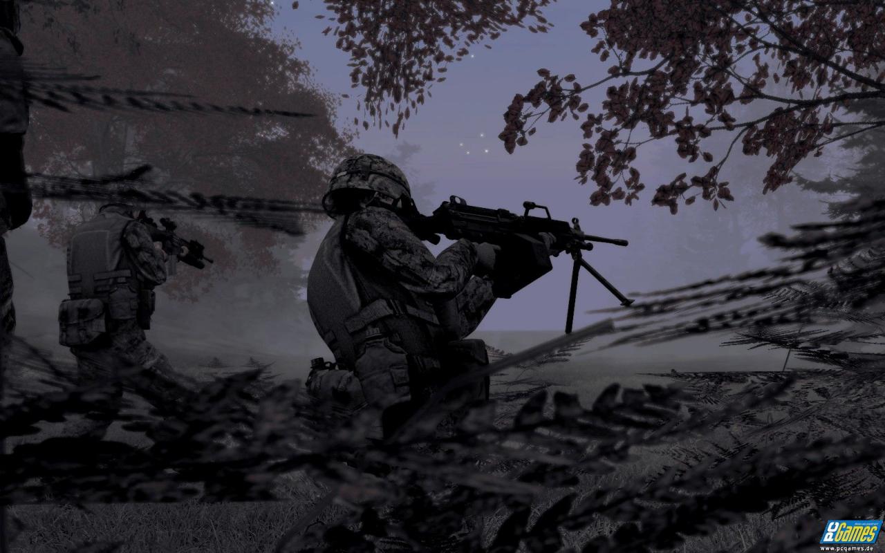 [09/07/2008] ArmA 2 (7)