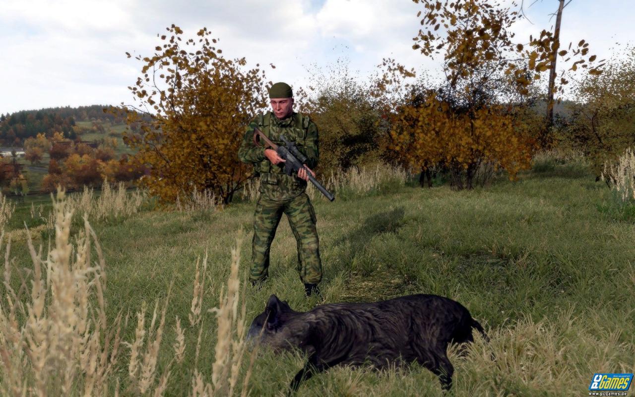[09/07/2008] ArmA 2 (9)