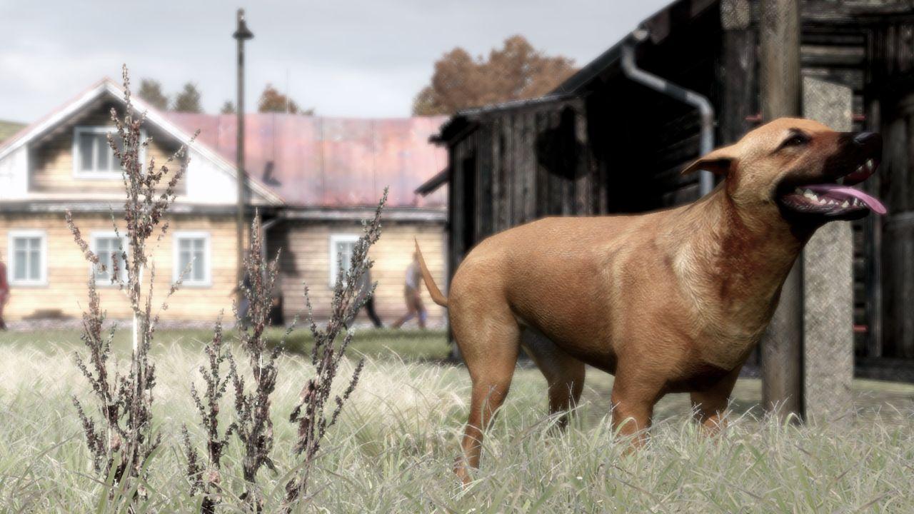 [22/08/2008] ArmA 2 (20)