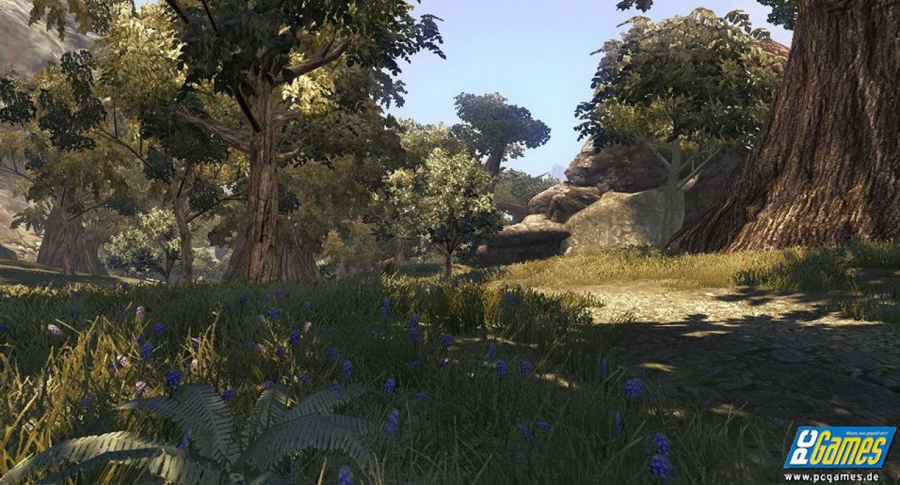 [08/08/2008] Divinity 2: Ego Draconis (5)