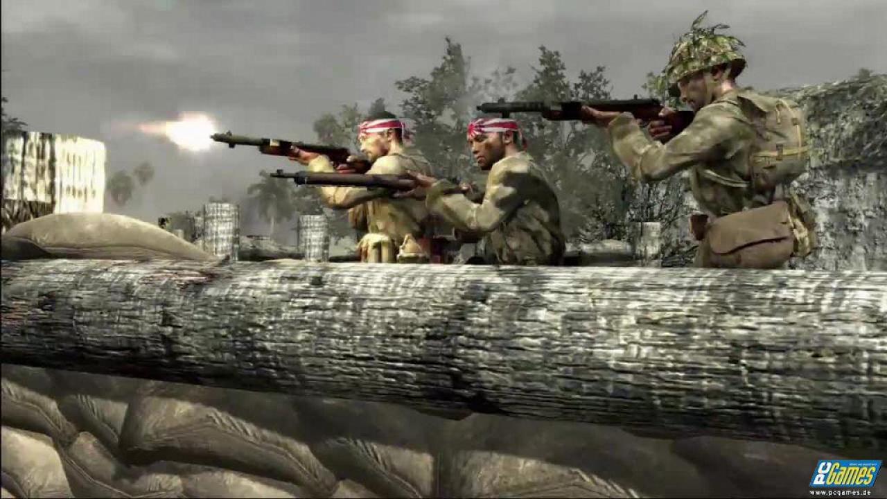[11/11/2008] 