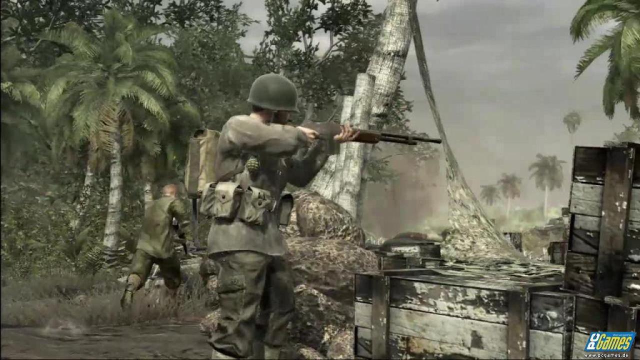 [11/11/2008] 