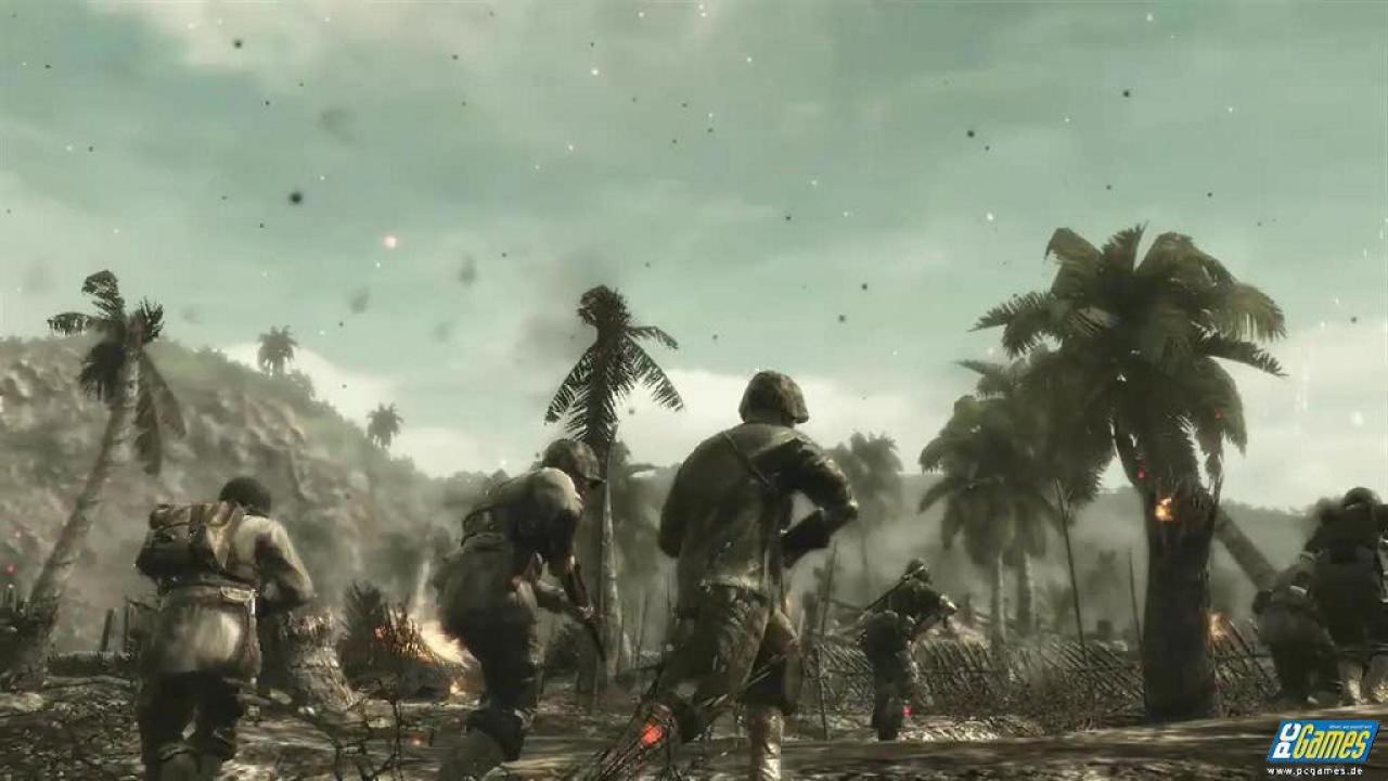 [11/11/2008] 