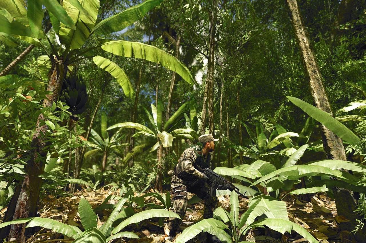 [27/02/2009] Der Dschungel aus Crysis. (4)