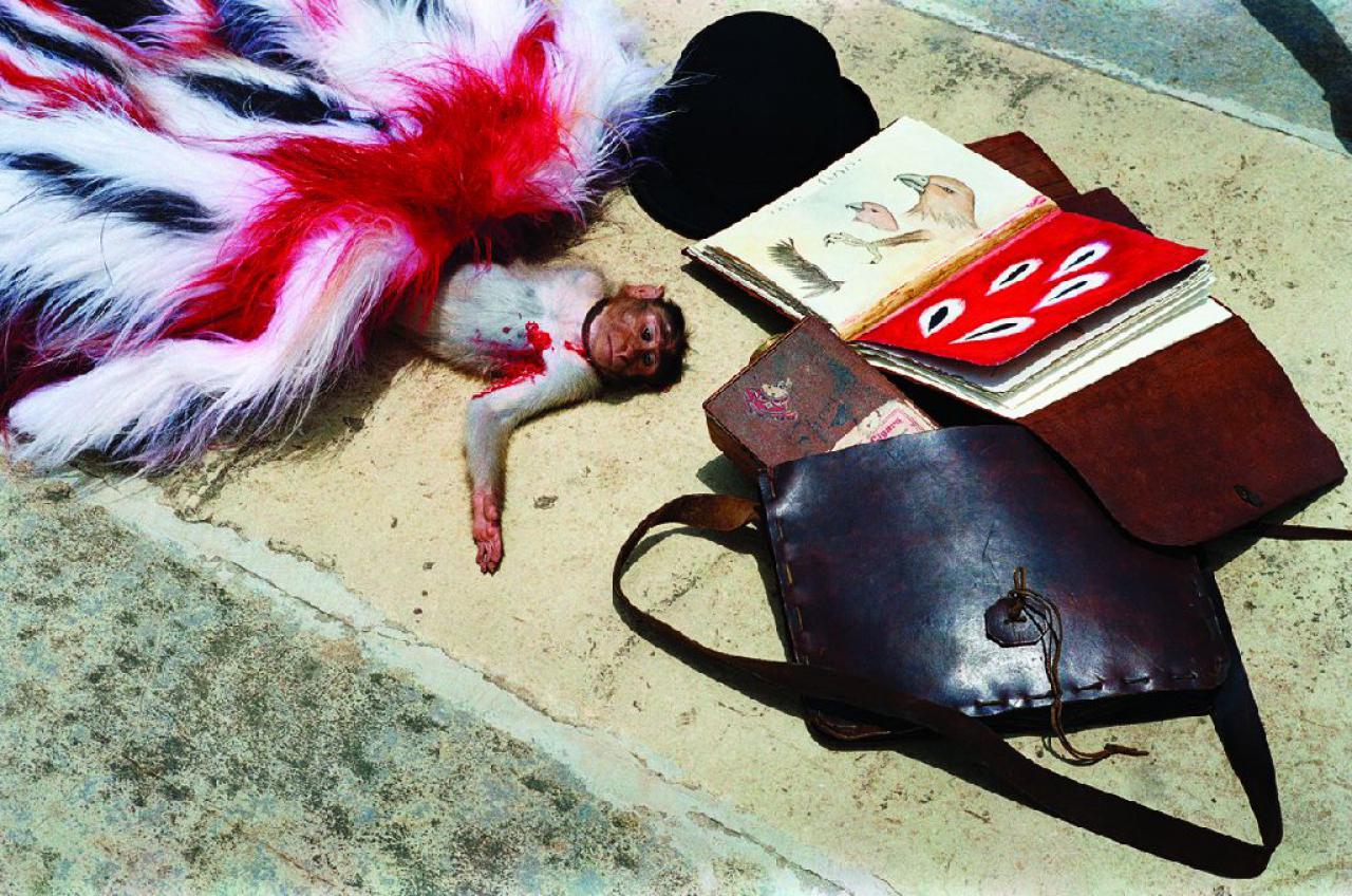 [12/03/2009] The Fall: Bild (27)