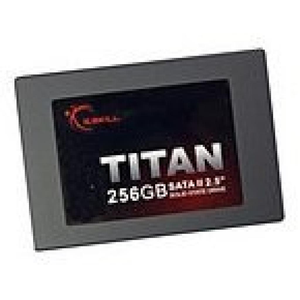 [09/04/2009] Hardware mit Eiern: G.Skill 256 GB 2,5 Zoll Solid State Drive S-ATA II
