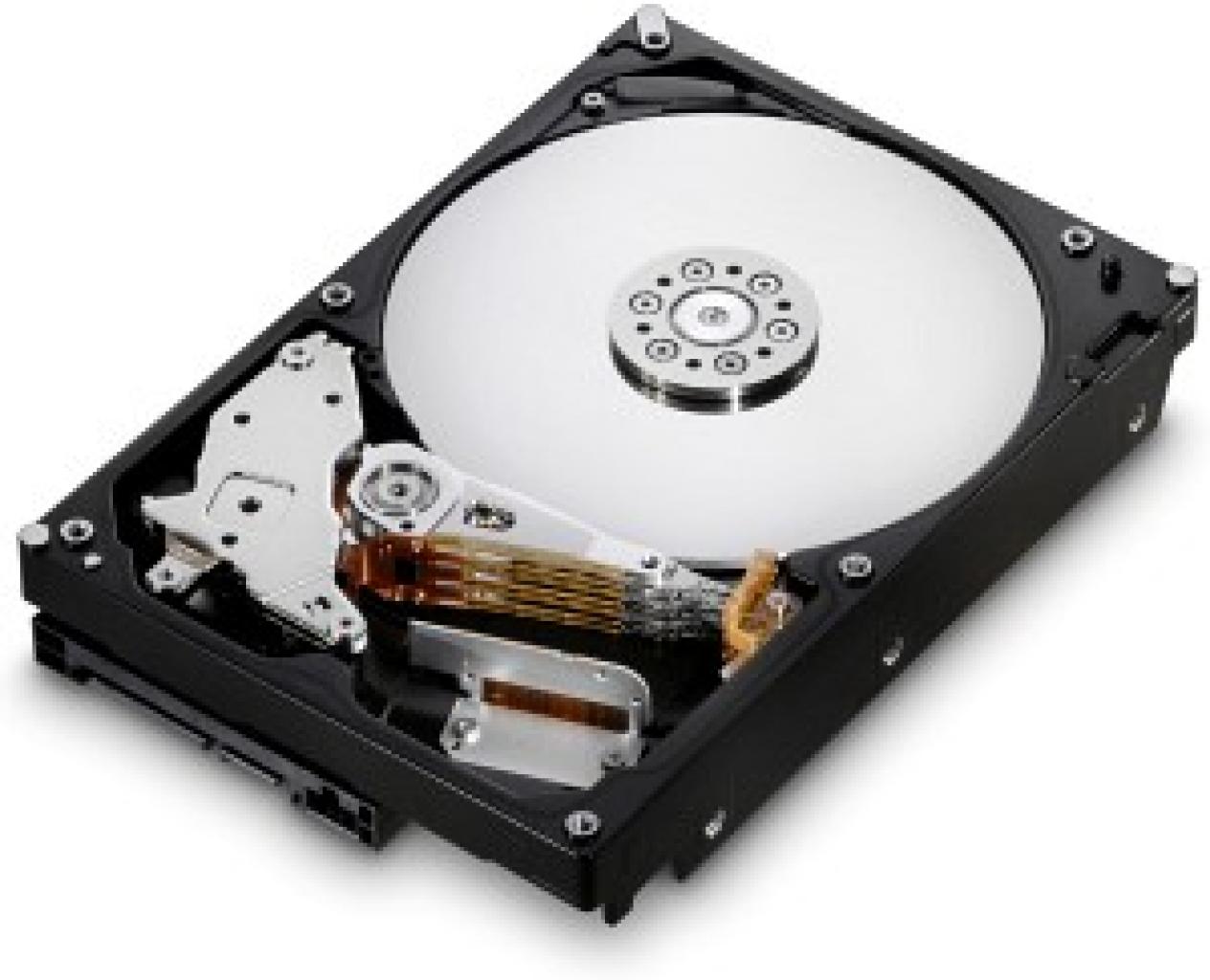 [04/05/2009] Platz 05: Hitachi Deskstar 7K1000.B 1000GB