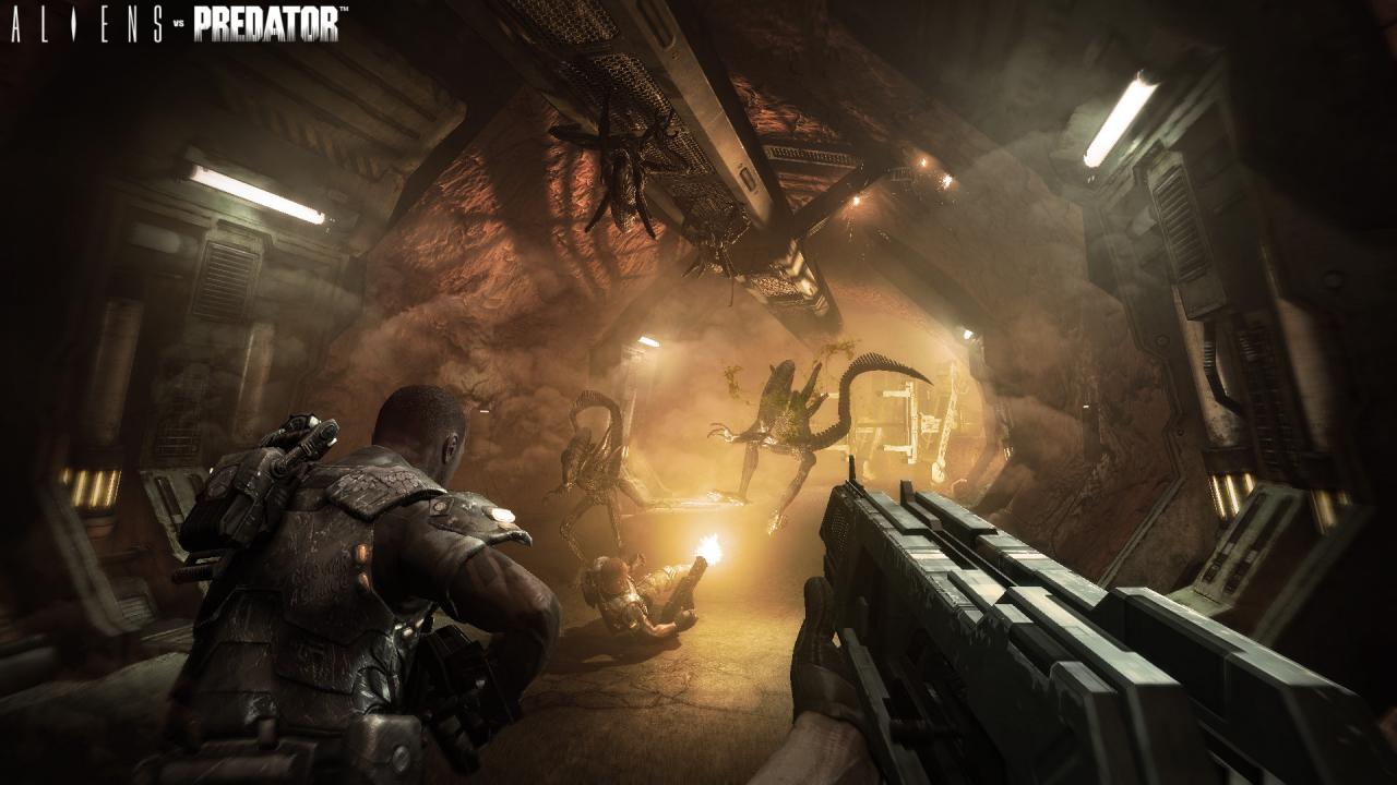 [20/05/2009] Definitiv nichts für Kinder: Aliens vs. Predator wird sicher eines der brutalsten Spiele. Mal sehen, was die USK sagt.