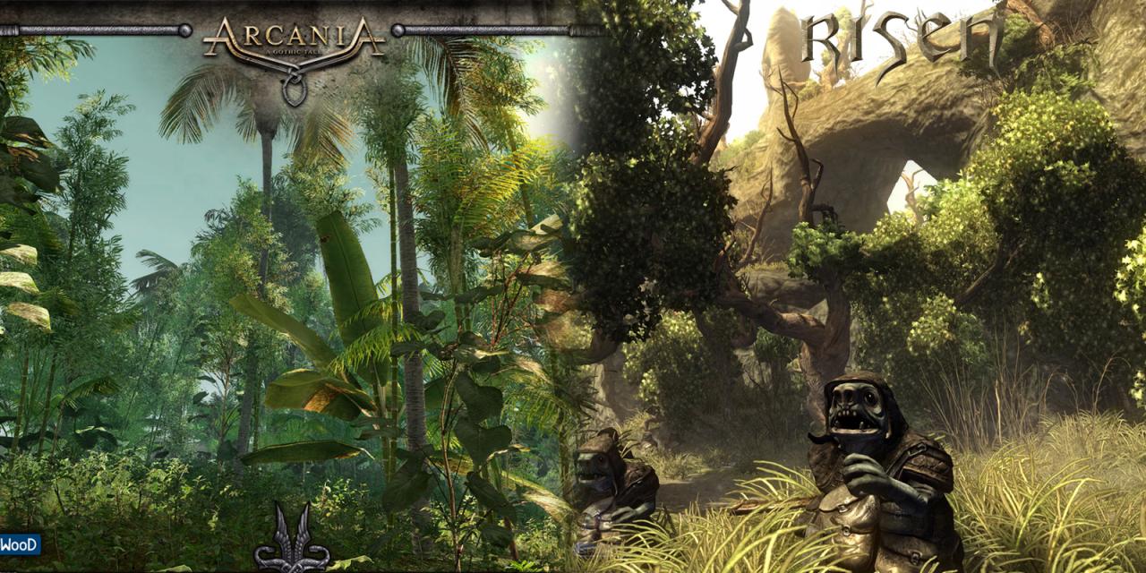 [20/05/2009] Die stilistischen Unterschiede zwischen Risen und Gothic 4 im Grafikvergleich: Vegetation