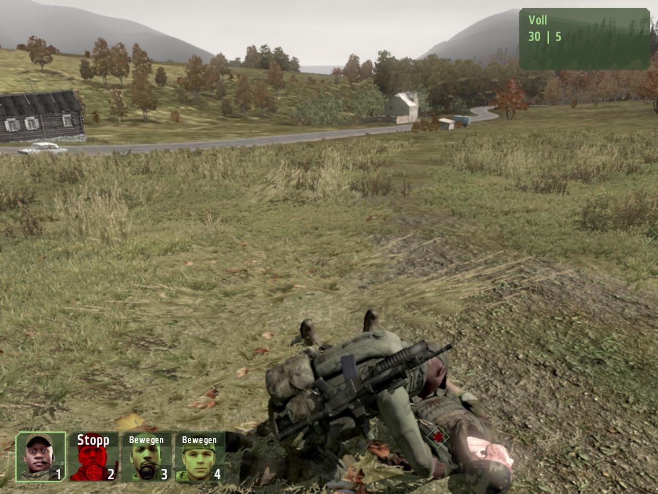 [29/05/2009] Selbstgemachte Screenshots zu ArmA 2. Die High-Res-Variante sehen Sie, wenn Sie ins Bild klicken. (4)