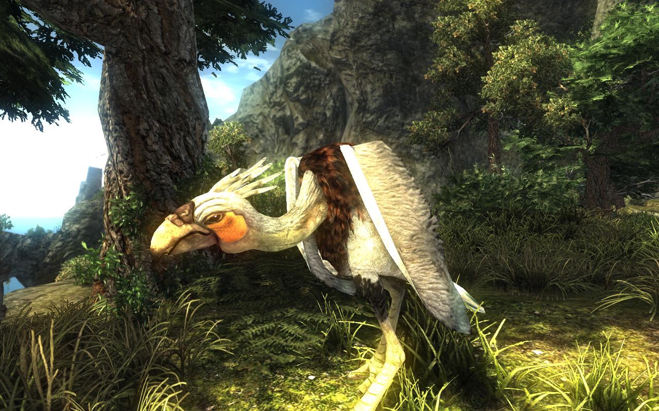 [09/05/2009] Risen-Screenshot (7)