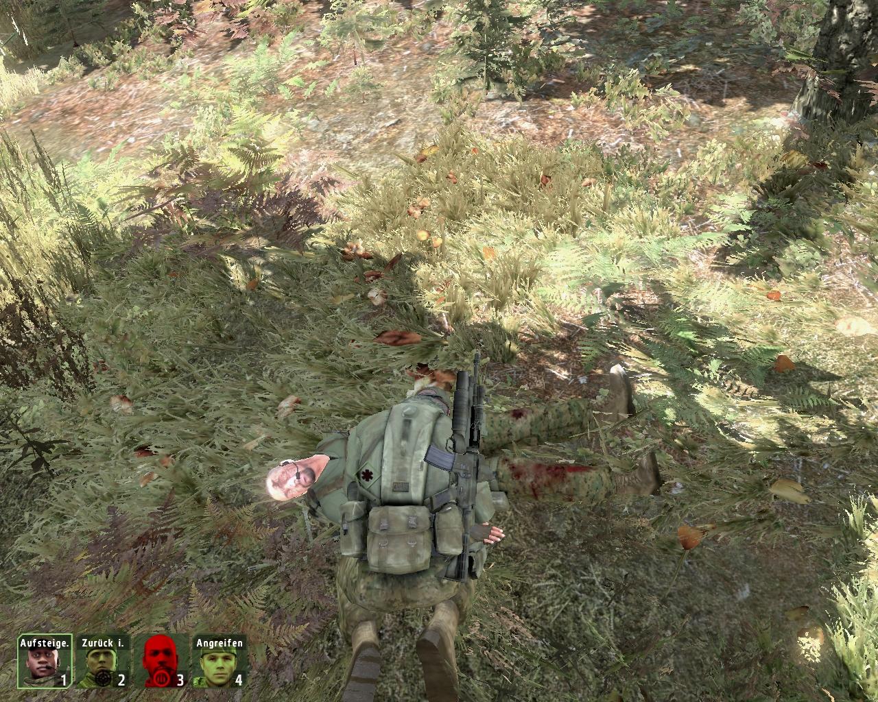 [19/06/2009] ArmA 2 (Armed Assault 2) - Screenshot (15)