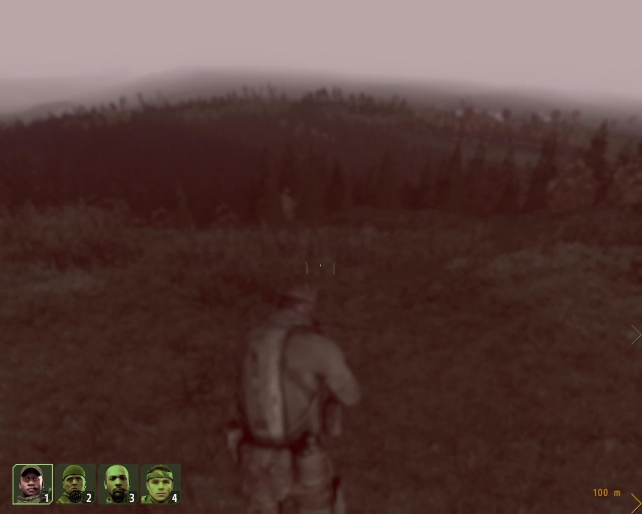 [19/06/2009] ArmA 2 (Armed Assault 2) - Screenshot (39)