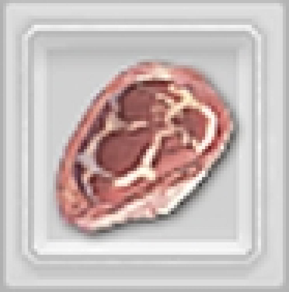 [12/06/2009] Fleisch