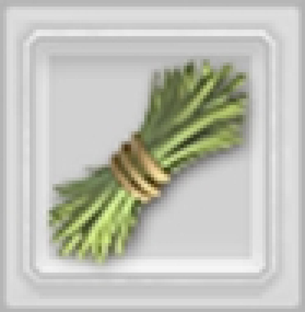[12/06/2009] Kräuter