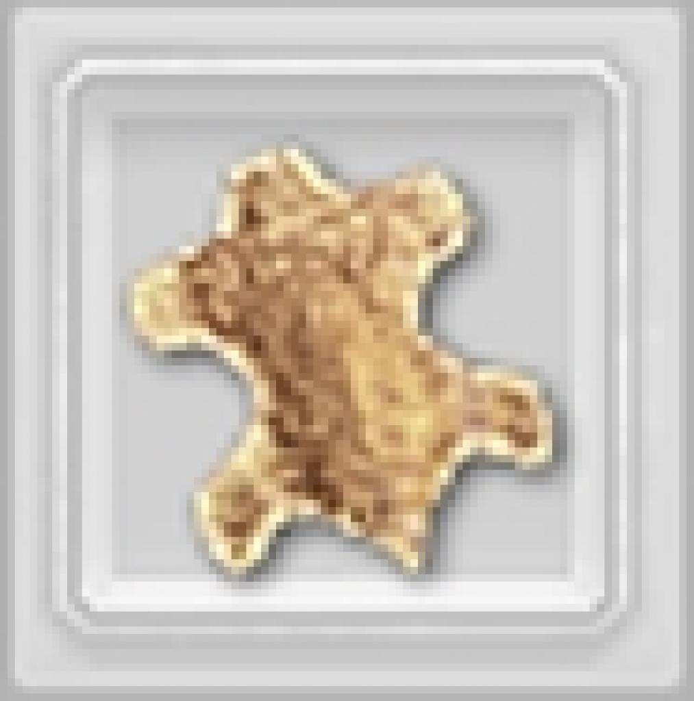 [12/06/2009] Pelze