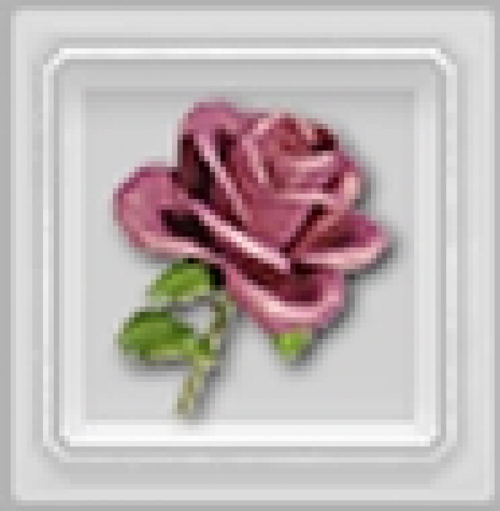 [12/06/2009] Rosenöl