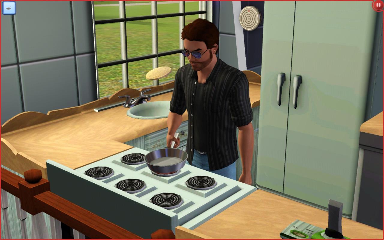 [02/06/2009] Die Sims 3 im Test.