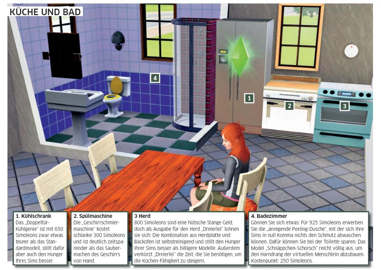 [09/06/2009] Die Sims 3: Optimale Einrichtung für eine Junggesellen-Behausung (3)