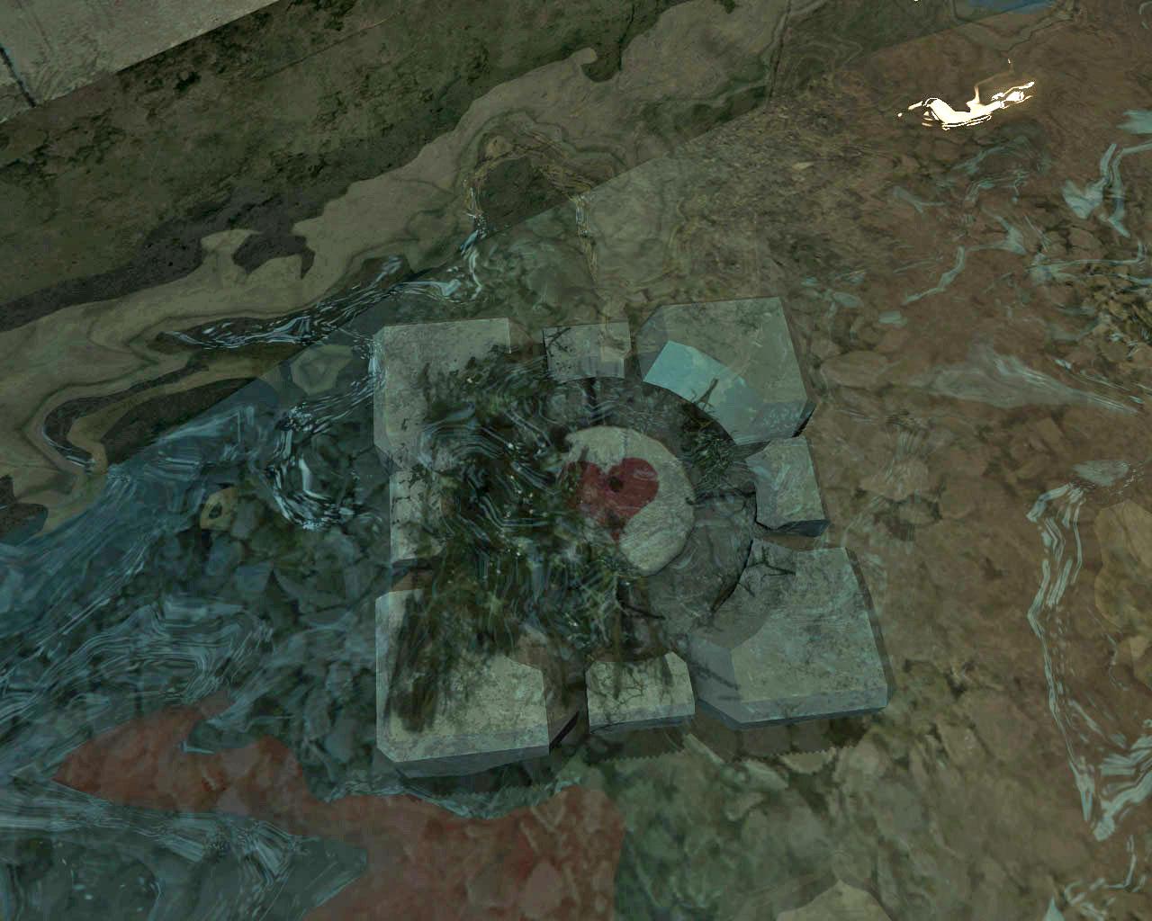 [28/07/2009] Kammer: Ires Teich: Benutzen Sie die Magnet-Glyphe über den Löchern um ein weiteres Fragment des Companion Cube zum Vorschein zu bringen. Übrigens: Den Companion Cube gibt es in The Void auch in seiner vollständigen Form. Nur wo?