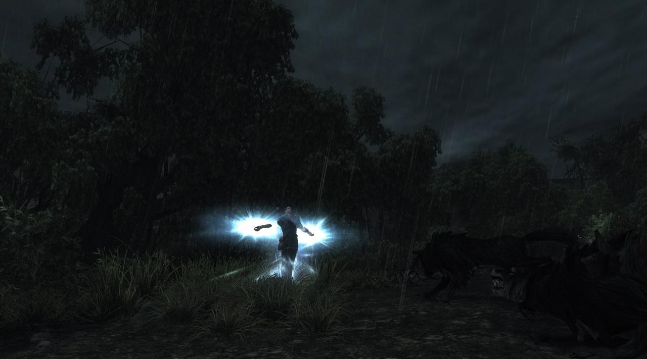 [02/08/2009] Neuer Screenshot aus dem Rollenspiel Risen. (2)