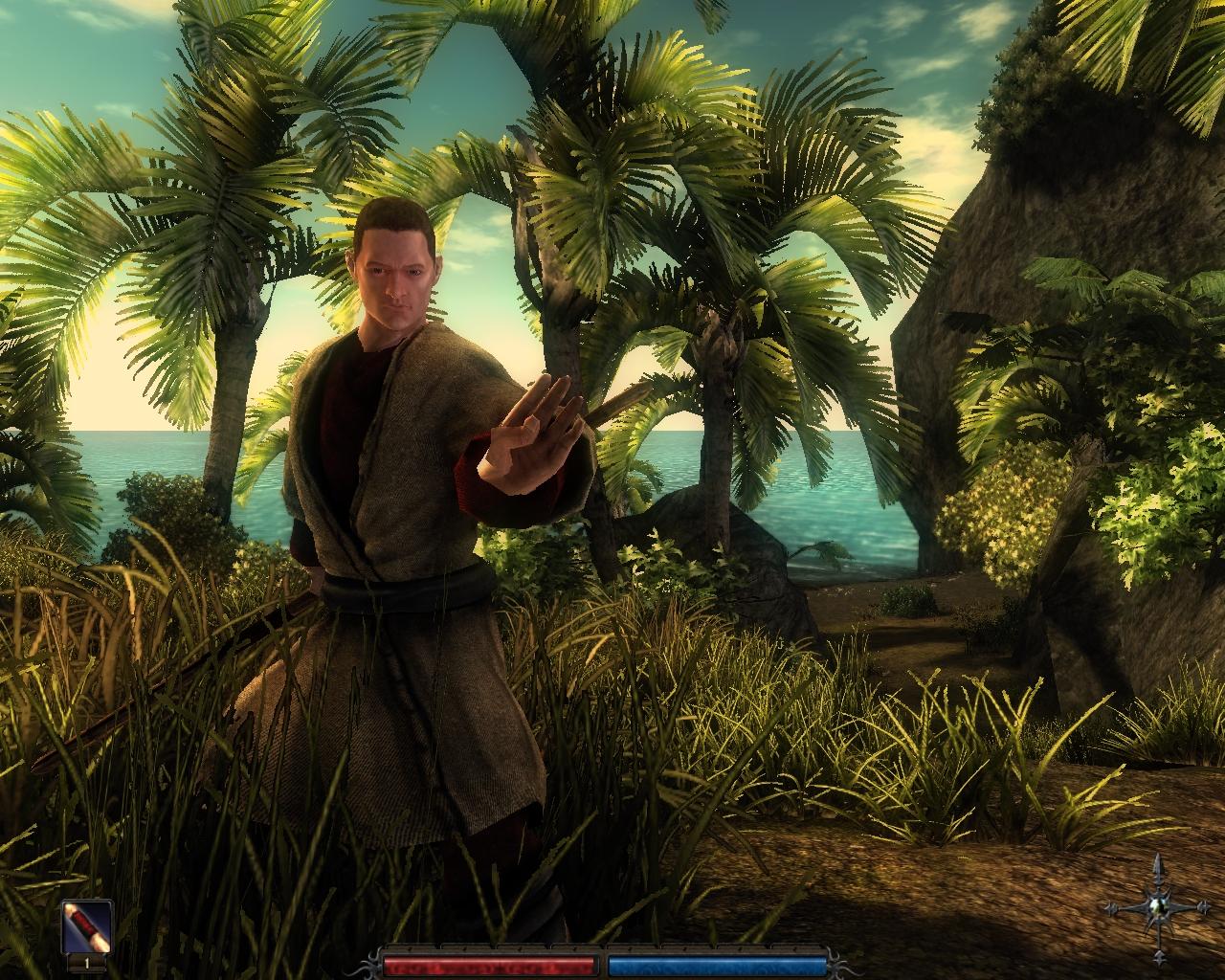 [26/08/2009] Screenshots aus Risen. (4)