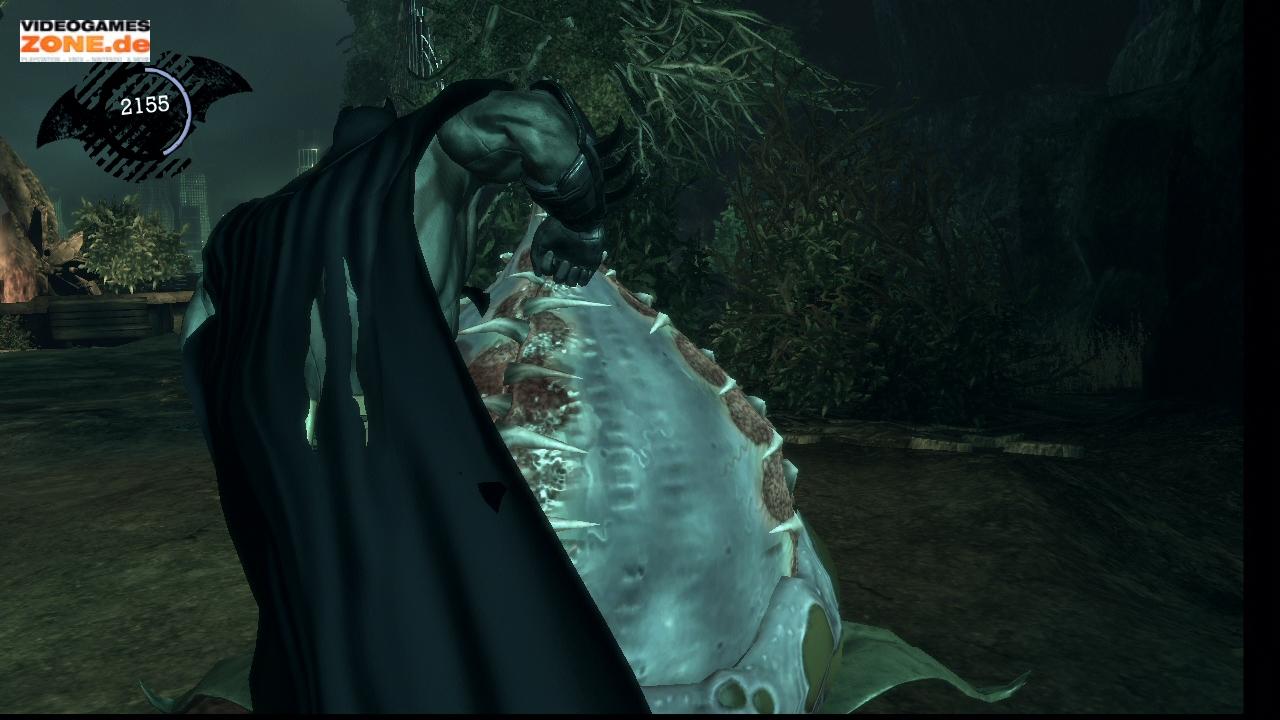 [10/09/2009] Falls diese Biester allzu sehr nerven, kann Batman sie einfach kurz und klein hauen.