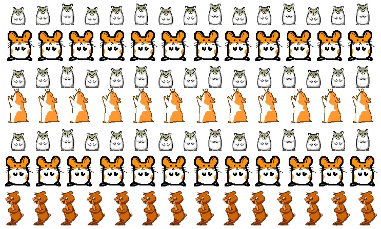 [03/09/2009] 1998: Der Hamster-Tanz. Die kanadische Studentin Deidre LaCarte entwickelte das Hamster-Tanz-Gif als eine Hommage an ihren Hamster namens Hampton Hamster. Bis Januar 1999 erhielt ihre Website lediglich 4 Klicks pro Tag, kurze Zeit später waren es durchschnittlich 15.000.