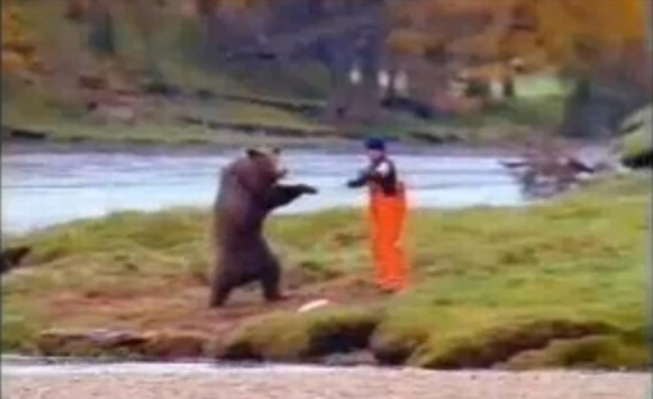 [03/09/2009] 2000: Mann gegen Bär. der Kampf Mann gegen Bär dient zur Werbezwecken für eine Thunfisch-Sorte. Suchen Sie bei youtube.com einfach nach 