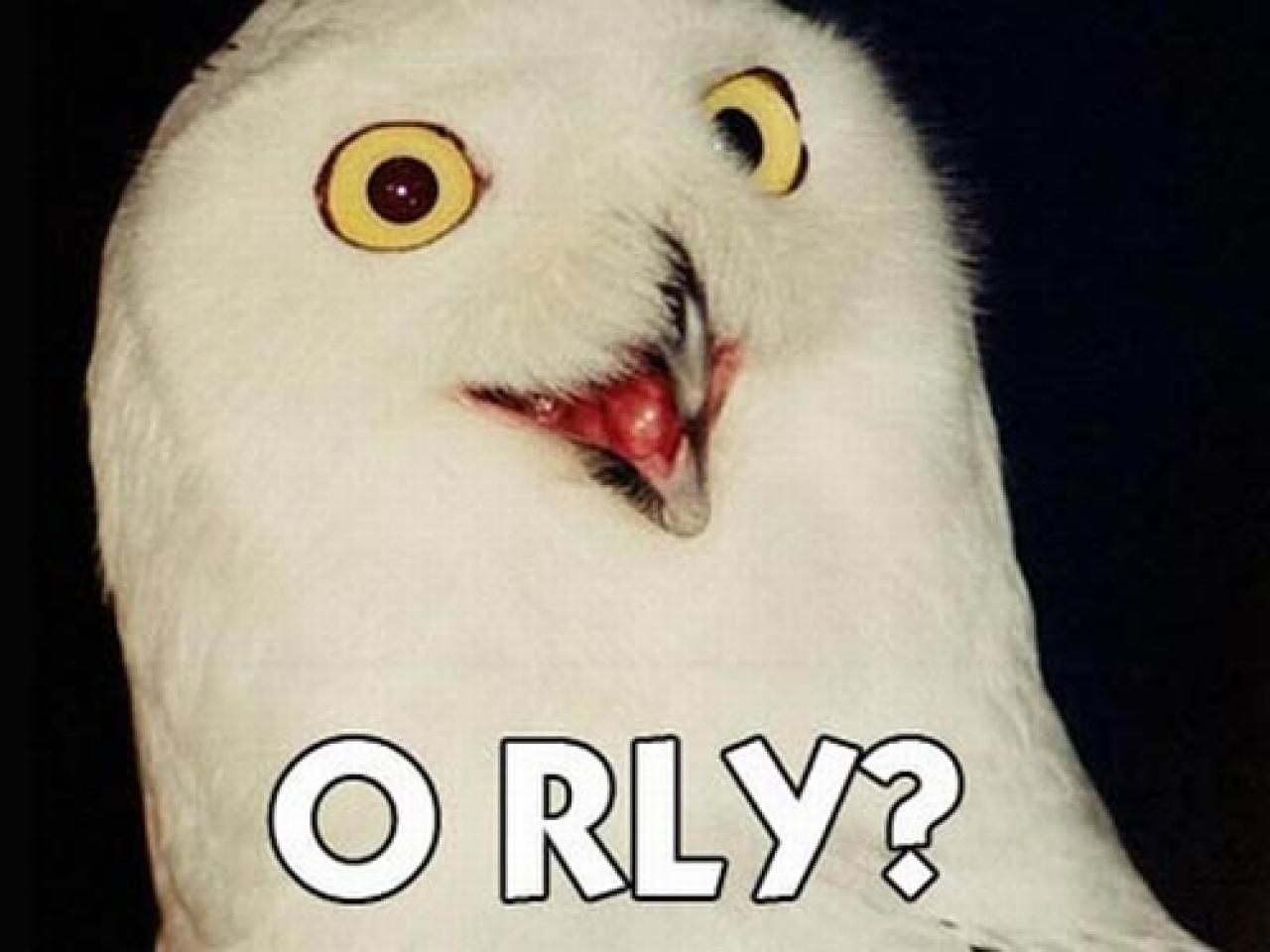 [03/09/2009] 2003: O RLY?. Ob aussagen nun offensichtlich wahr oder offensichtlich falsch sind, ganz egal, die O RLY?-Eule (