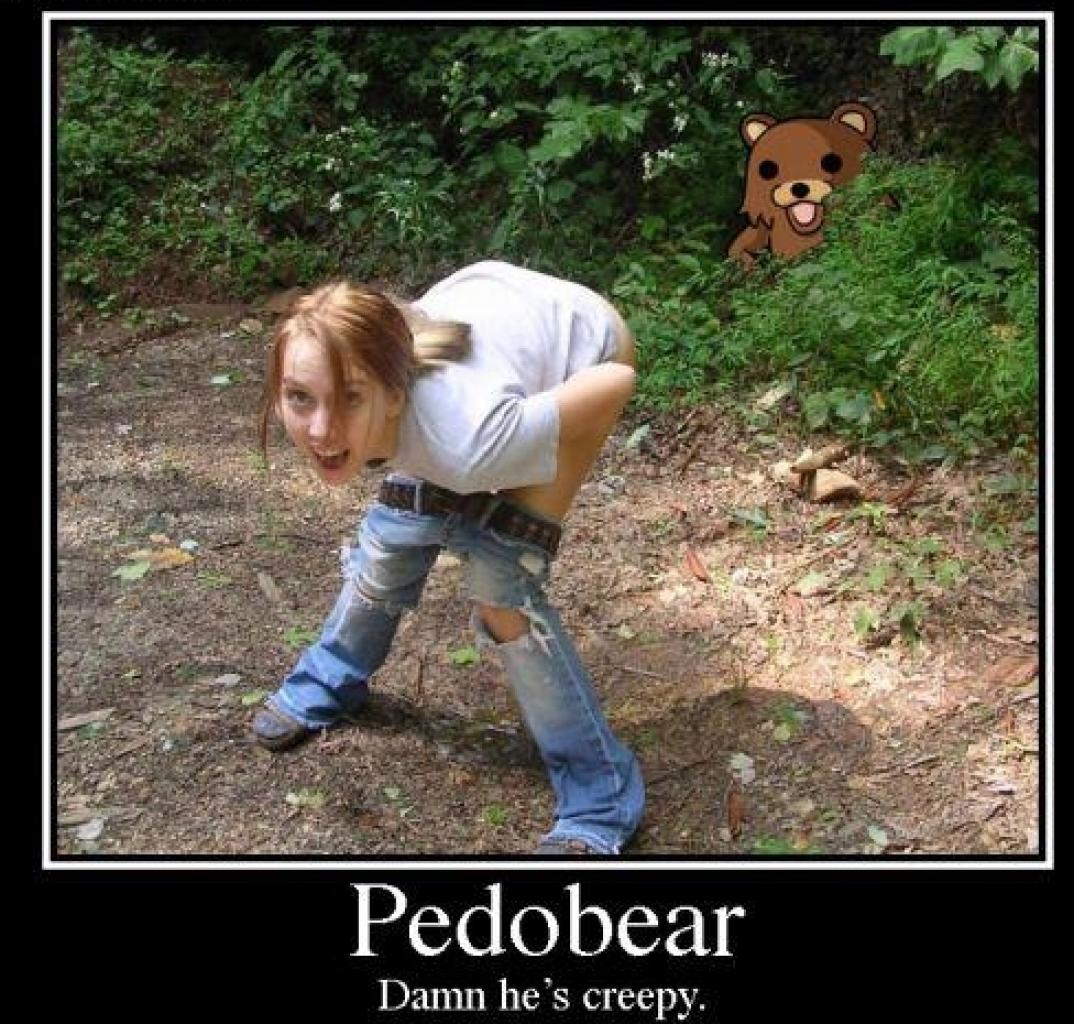[03/09/2009] 2005: Pedobär. Wo genau der Pedobär herkommt, das weiß niemand (außer vielleicht sein Erfinder). Fakt ist: 4chan.org ist voll von Pedobär-Bildern, die ihn beim illegalen Ausspannen von Teenagern zeigen. 