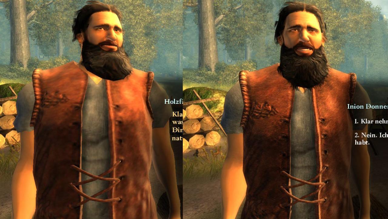 [01/09/2009] Links: Das Schwarze Auge: Drakensang ohne Patch - Rechts: mit Textur-Patch.