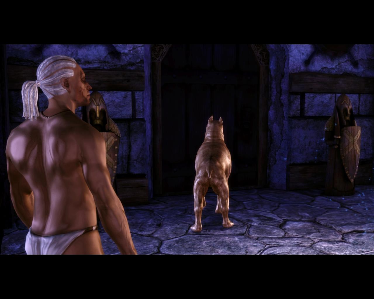 [05/11/2009] Dragon Age: Origins-Screenshot (1)