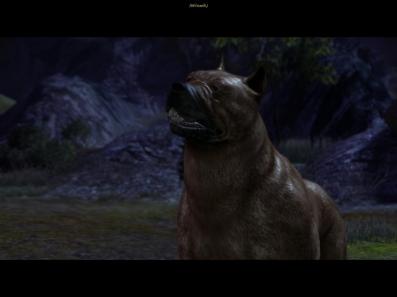 [02/11/2009] Der Mabari-Hund aus Dragon Age: Origins.