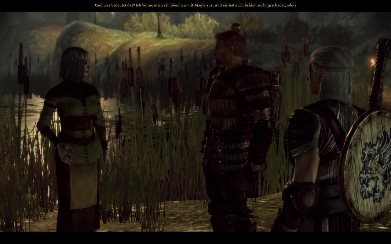[02/11/2009] Screenshots aus Dragon Age: Origins (23)
