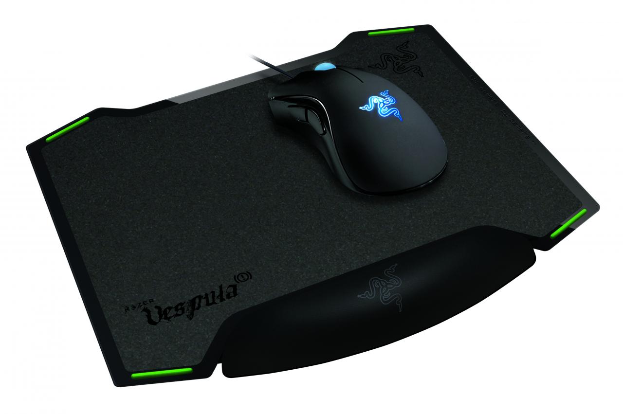 [29/01/2010] Razer Vespula