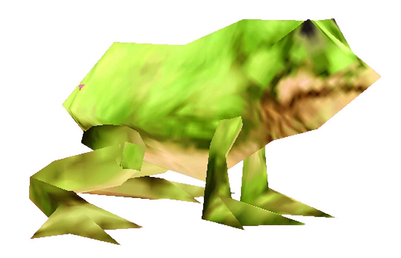 [20/05/2010] Baumfrosch