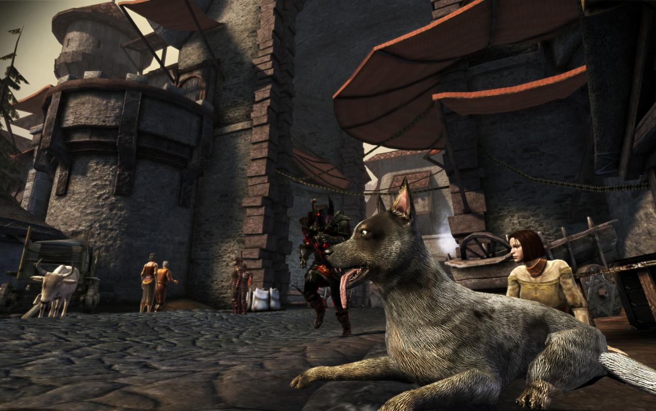 [11/05/2010] Dragon Age: Origins wird von Grafik-Fans nur noch mit Mod gespielt. Hier sehen Sie das RPG mit 3.030 x 1.900 reseized InGame auf 1.920 x 1200 und für Screenshots auf 1.600 x 1.000, 4xTSSAA, 16xAF und maximalen Details. Hinzu kommen kleinere Mods wie Dragon Age Redesigned, JBtextures und White Teeth.