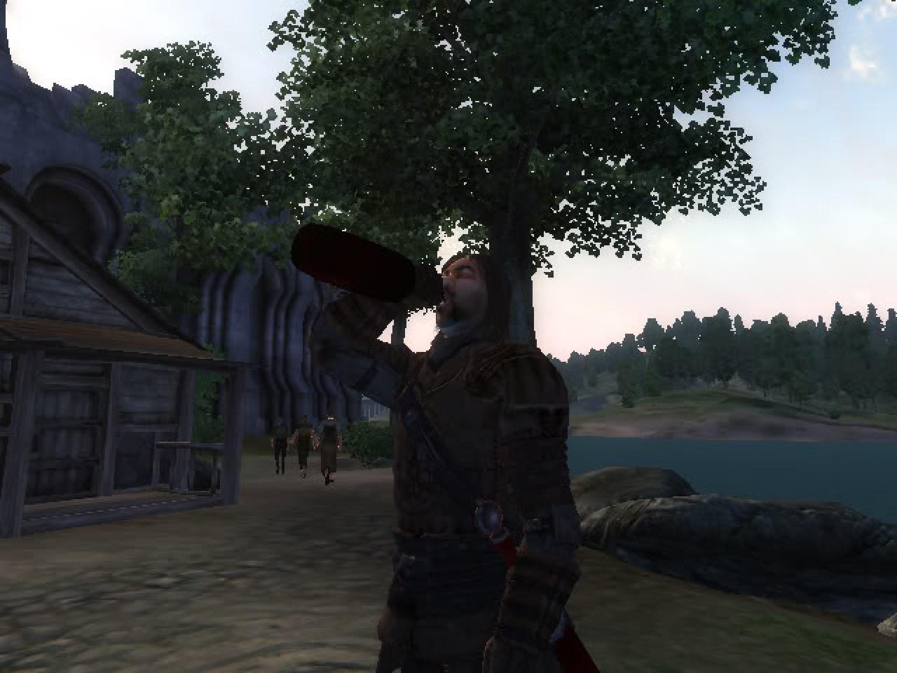 [12/05/2010] Ein Nachmittag im Frühling erlaubt jedem Helden in The Elder Scrolls 4: Oblivion einen guten Schluck Wein.