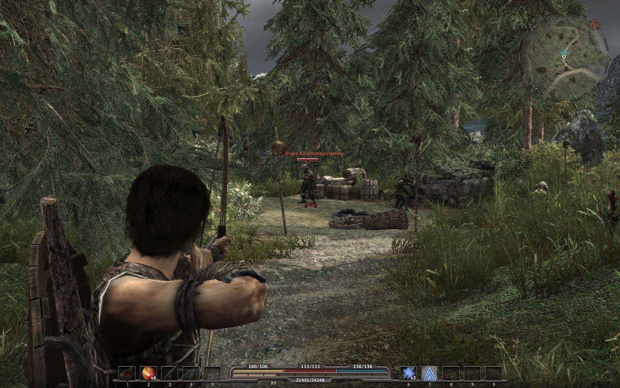 [18/06/2010] Gothic 4-Bugs im Video: Wenn sich Geschichte wiederholt. Auch Arcania bietet einige Bugs. (5)
