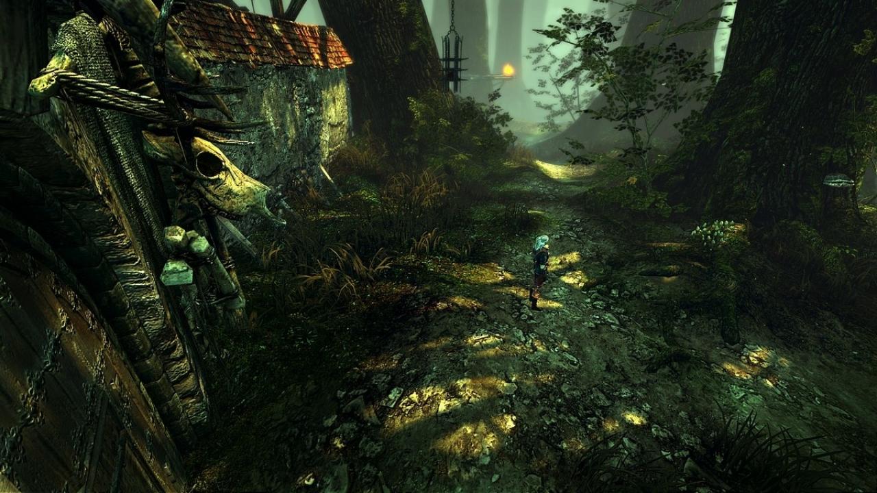 [17/06/2010] Alle E3-Screenshots zum PC-Rollenspiel The Witcher 2 in der Bildergalerie. (10)
