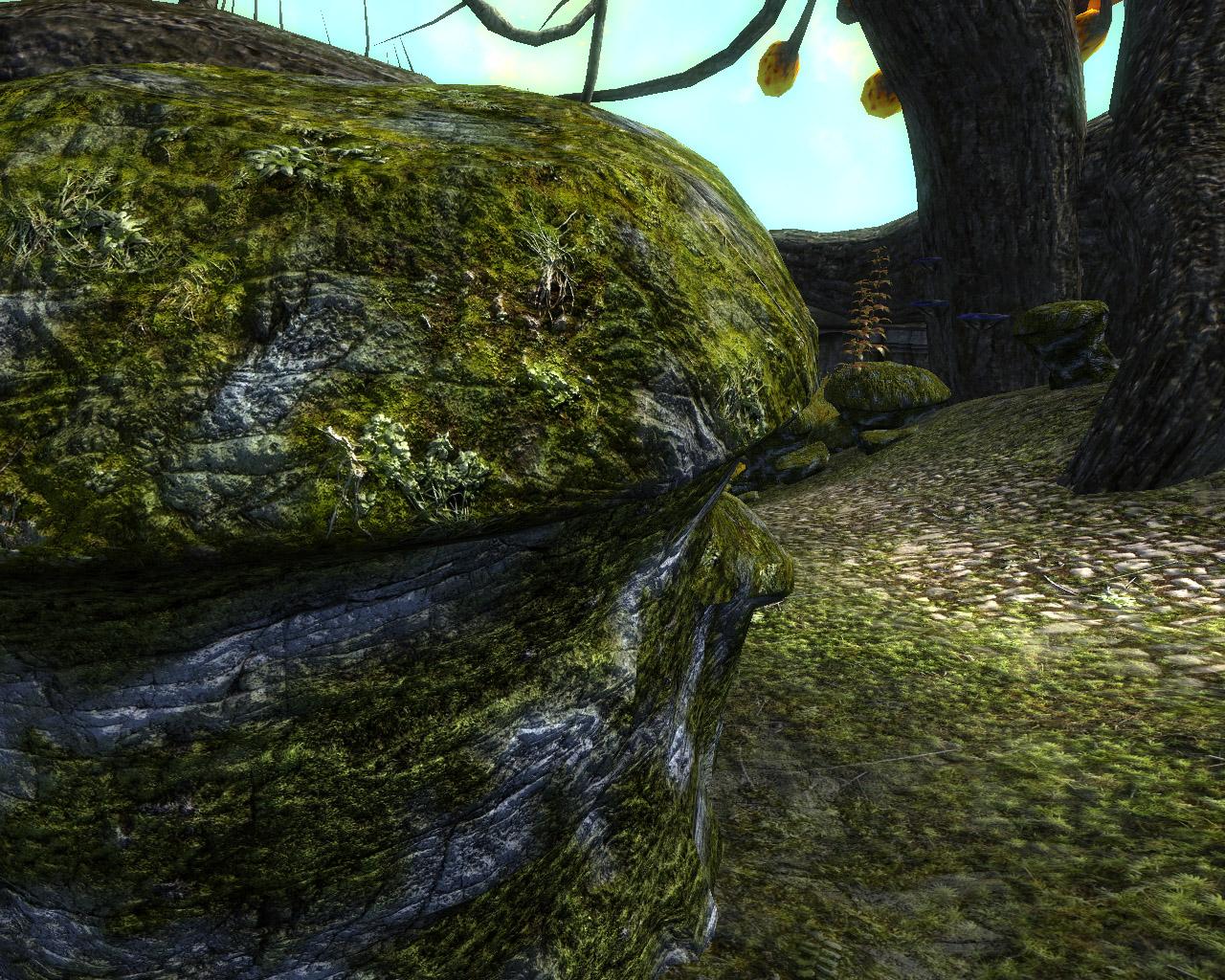 [20/07/2010] The Elder Scrolls: Oblivion - Die Sammlung an Oblivion Textur-Mods verspricht, optische Verbesserungen für die Spielwelt, die man deutlich sieht.