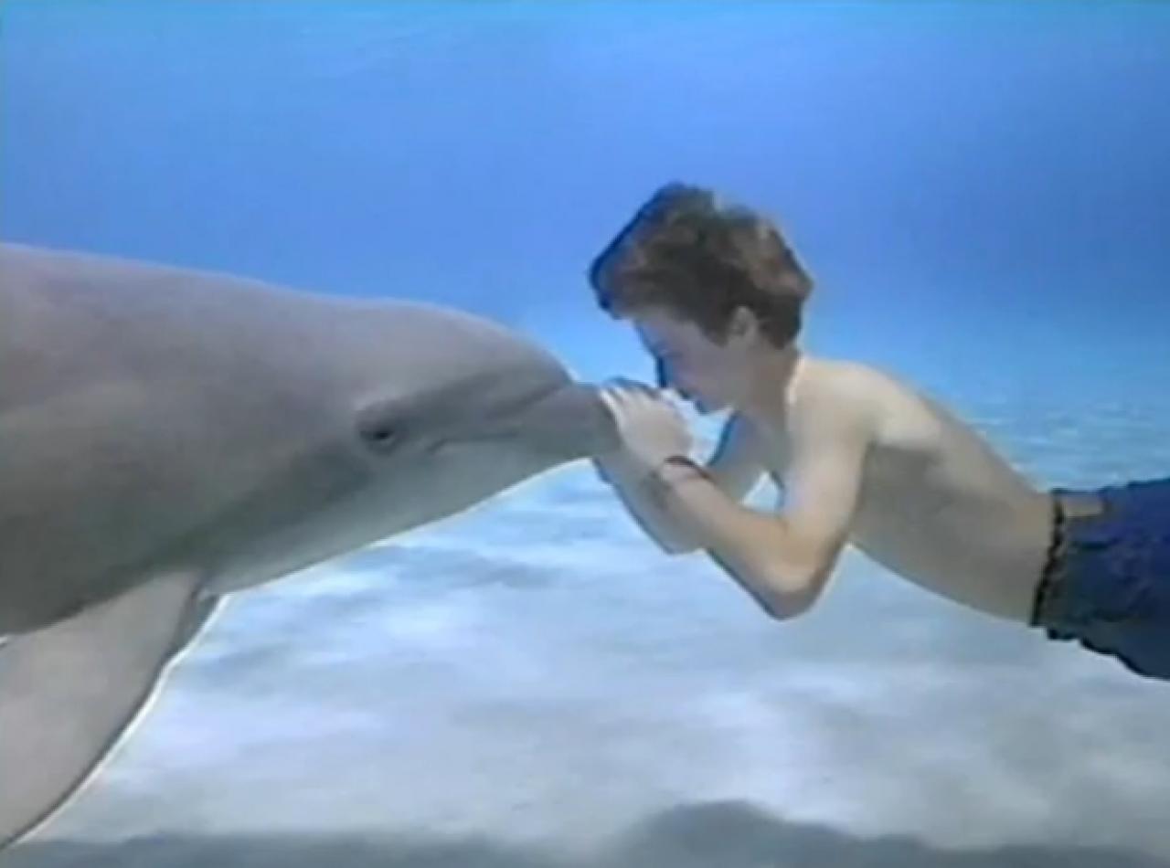 [01/09/2010] Flipper: Ein Ecco the Dolphin als 3D-Remake? Womöglich mit einem Kampf gegen den Weißen Hai? Oder mt diesem als Koop-Buddygame durch die Tiefsee? Nach Schleichfahrt und zuletzt Silent Hunter könnte es mal wieder unter Wasser gehen.