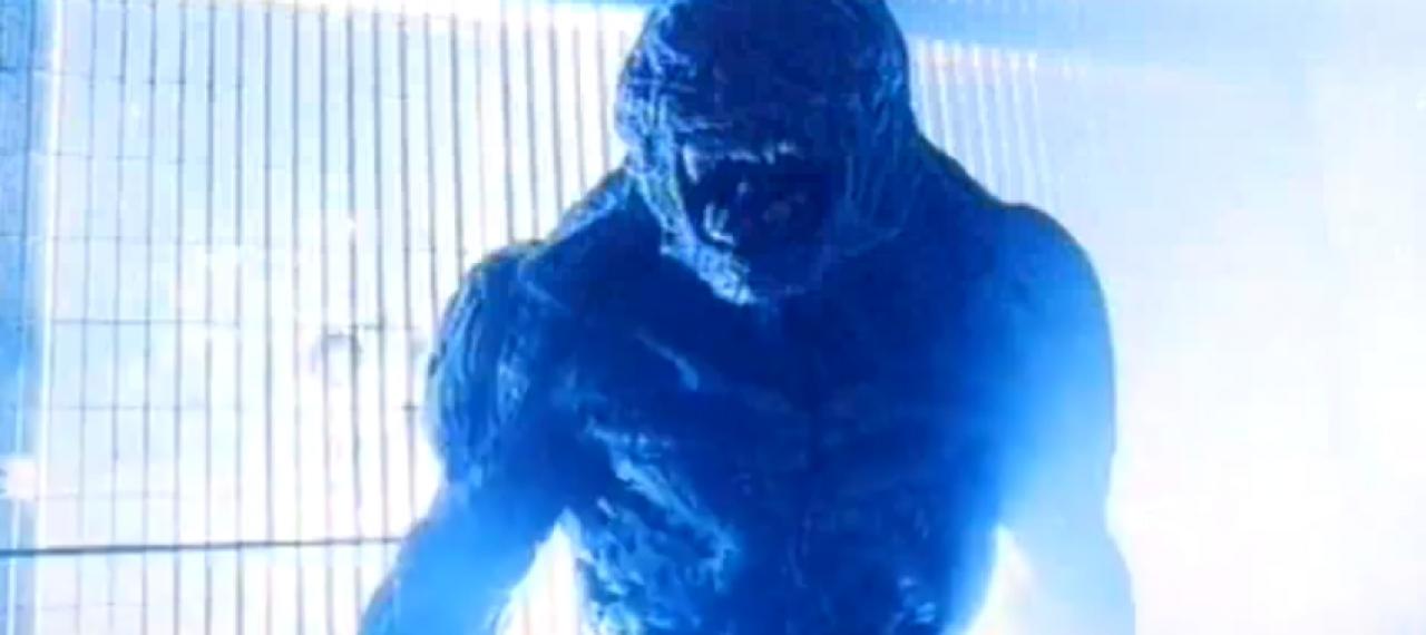 [15/10/2010] Der Doom-Film von 2005 darf selbstverständlich nicht fehlen. Regisseur Andrzej Bartkowiak heimste bei der IMDB 5,2 Punkte ein.