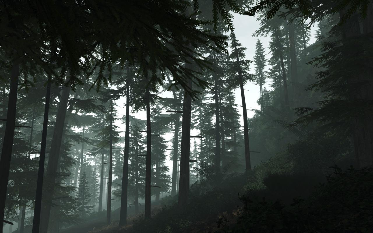 [09/10/2010] Erneut ein Cryis-Screenshot mit maximaler Grafik. Diesmal vom PC-Games-User 