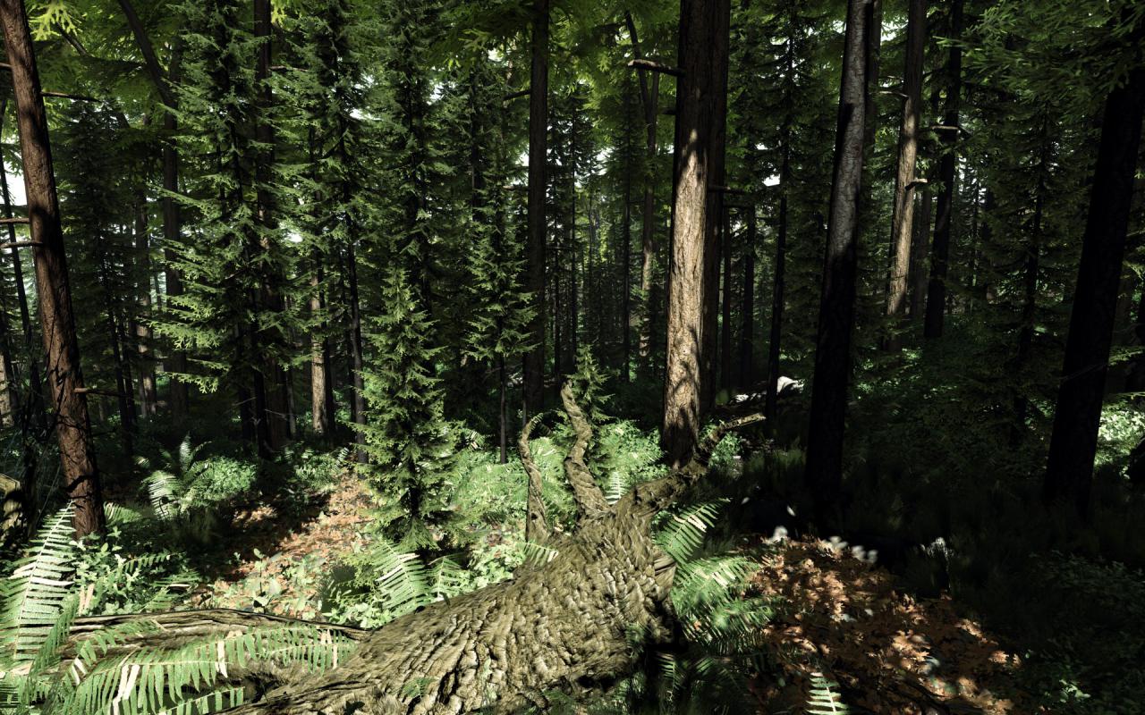 [23/10/2010] Starkes Wald-Setting auf Basis der CryEngine 2 (Crysis) vom PC Games-User 